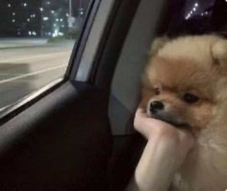 อูนิตอนเจอคนอื่น         อูนิตอนคุนหริงบอกว่าน้องขี้อาย