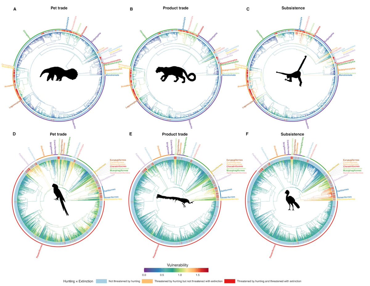 @EcoEvoRxiv tweet media
