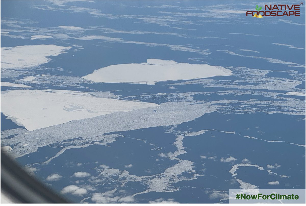ChubamenlaJamir's tweet image. Reflections on #NowForClimate - as we observe #WorldEnvironmentDay 2026 one month from today.

Last May, I had a rare opportunity to fly over the Arctic, passing close to Iceland and Greenland. Clear skies, sharp sunlight—and below us a breathtaking expanse of frozen beauty.