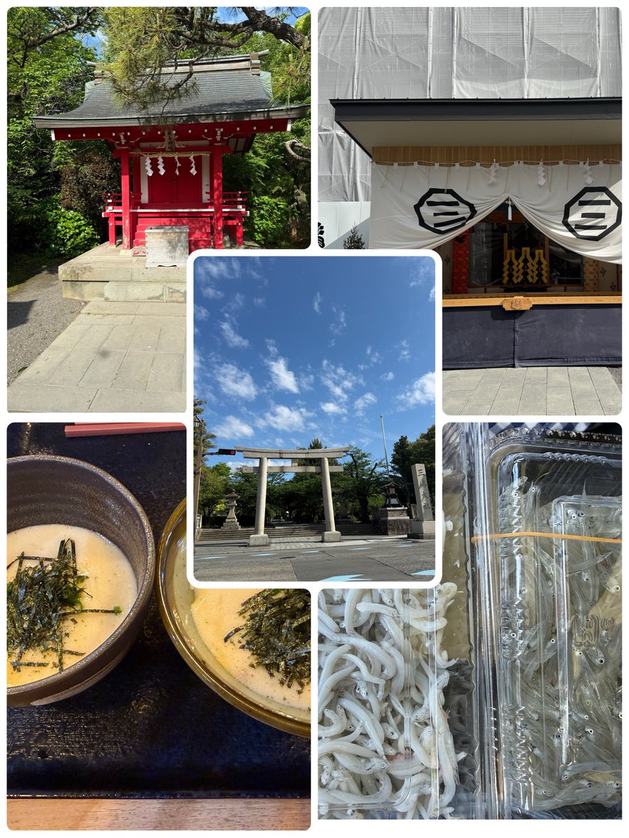 みどり tweet media