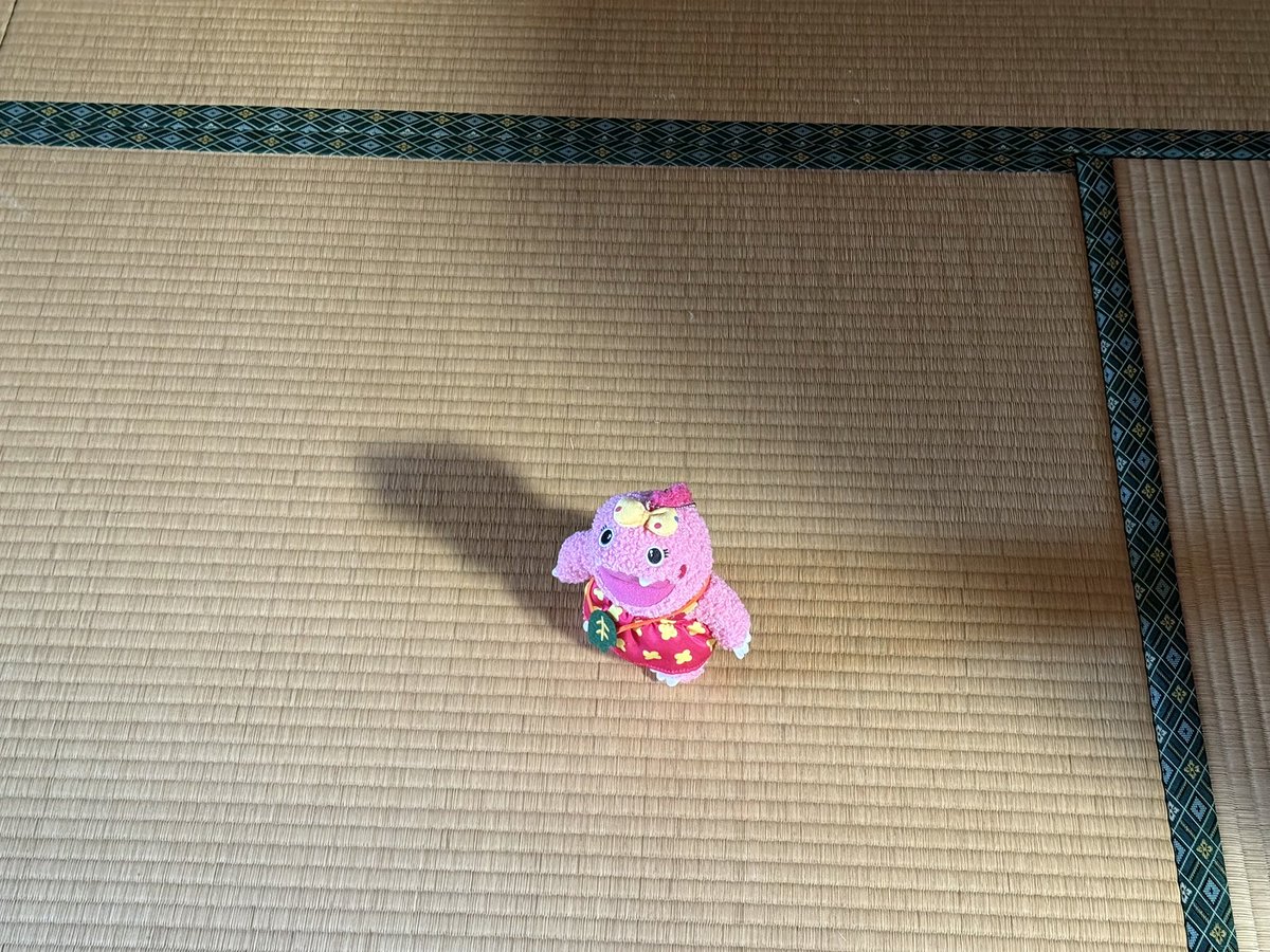 いけいけがんこちゃん tweet media