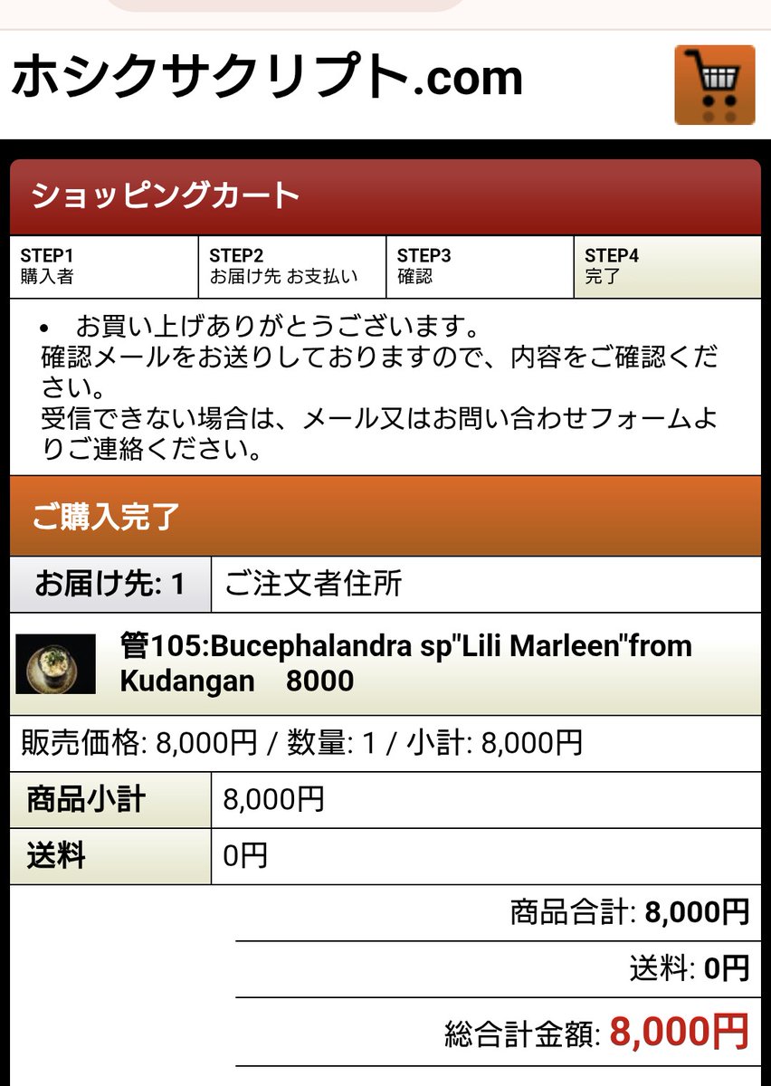 （㋕）ルビ tweet media