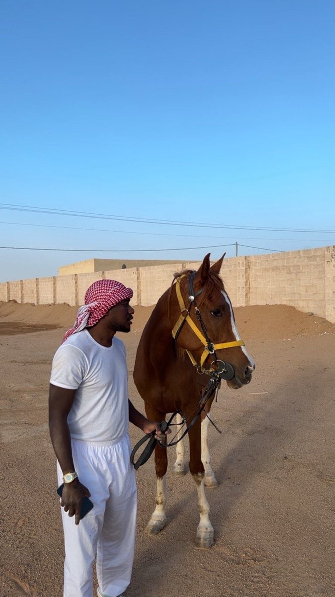 🔥محمد🖤 tweet media
