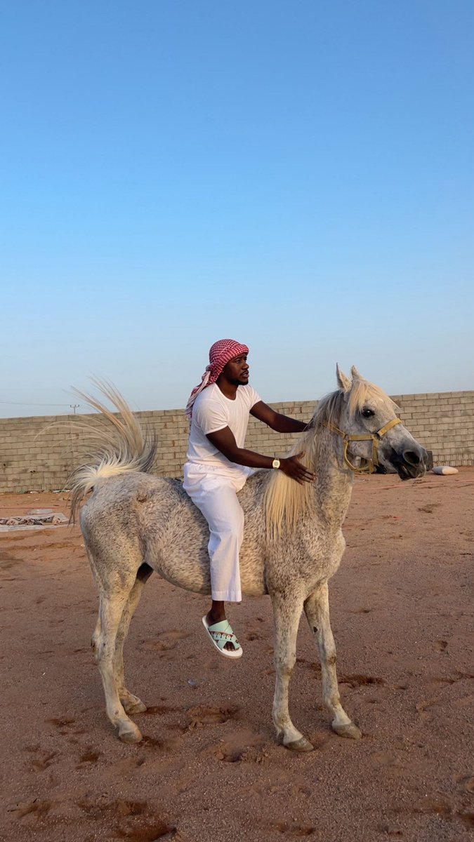 🔥محمد🖤 tweet media