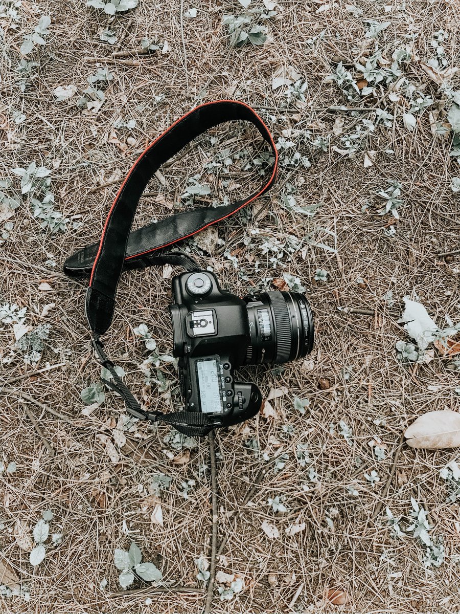 AlexanderFB's tweet image. Autumn is coming 📸 #autumn #fall #camera #seasons