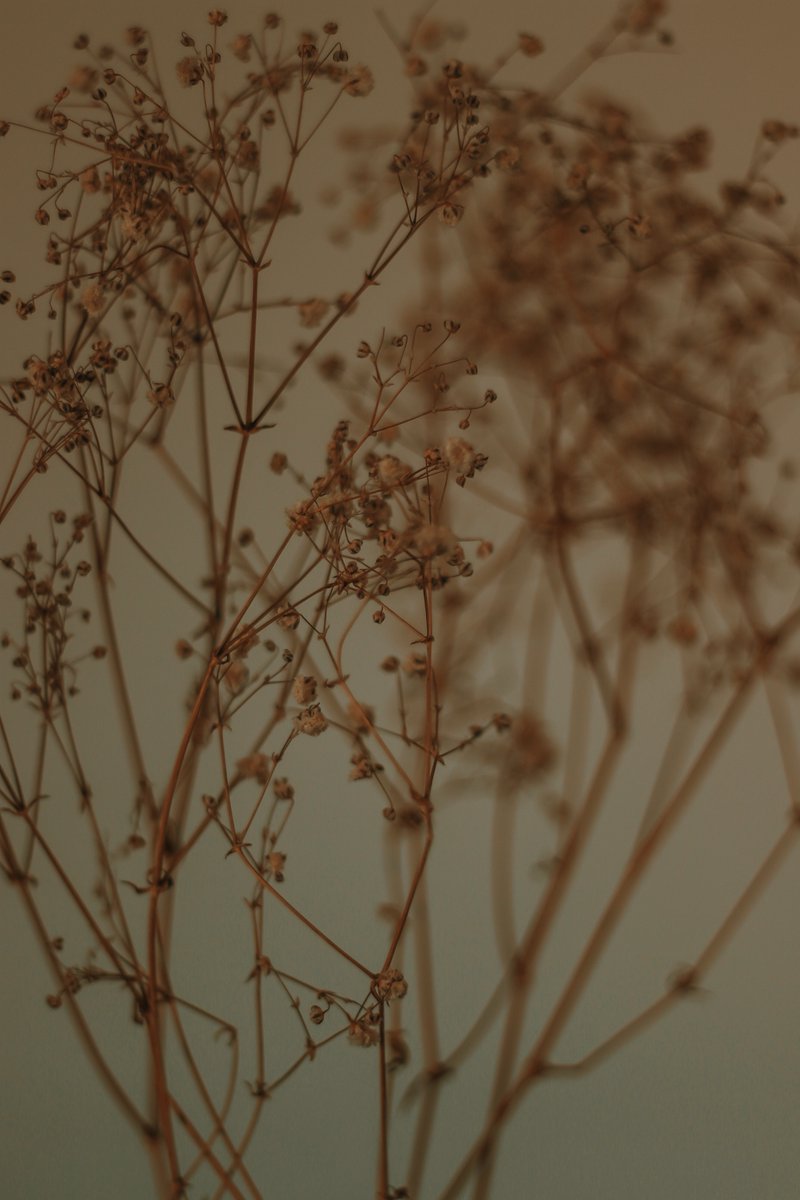 AlexanderFB's tweet image. Autumn is coming 📸 #autumn #fall #camera #seasons
