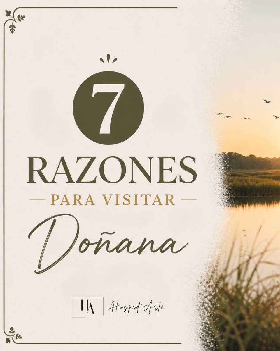 HospedarteRocio's tweet image. 🌿 𝐋𝐚𝐬 𝟕 𝐫𝐚𝐳𝐨𝐧𝐞𝐬 𝐩𝐚𝐫𝐚 𝐯𝐢𝐬𝐢𝐭𝐚𝐫 𝐃𝐨𝐧̃𝐚𝐧𝐚

Naturaleza, calma y experiencias únicas ✨
Descúbrelas todas 👇.

#Doñana #ElRocio #GrupoHospedarte