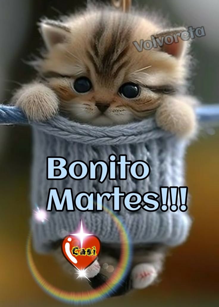 Berenic97237153's tweet image. 😊😘❤️❤️☕#HOLA☕❤️❤️😘😊
#BuenosDiasdeBesos
#BuenMartesdeBesos
#FelizMartes
#AvisoArenaMexico
#HoyEsMiTrabajandoEnIssste
#AmigosATodos
#AmoMexico
#FuerteMexico
#MexicoCity
Los quiero 
#CDMX 🇲🇽🇲🇽❤️❤️😘😘😊😊☕☕☕☕☕☕☕☕☕