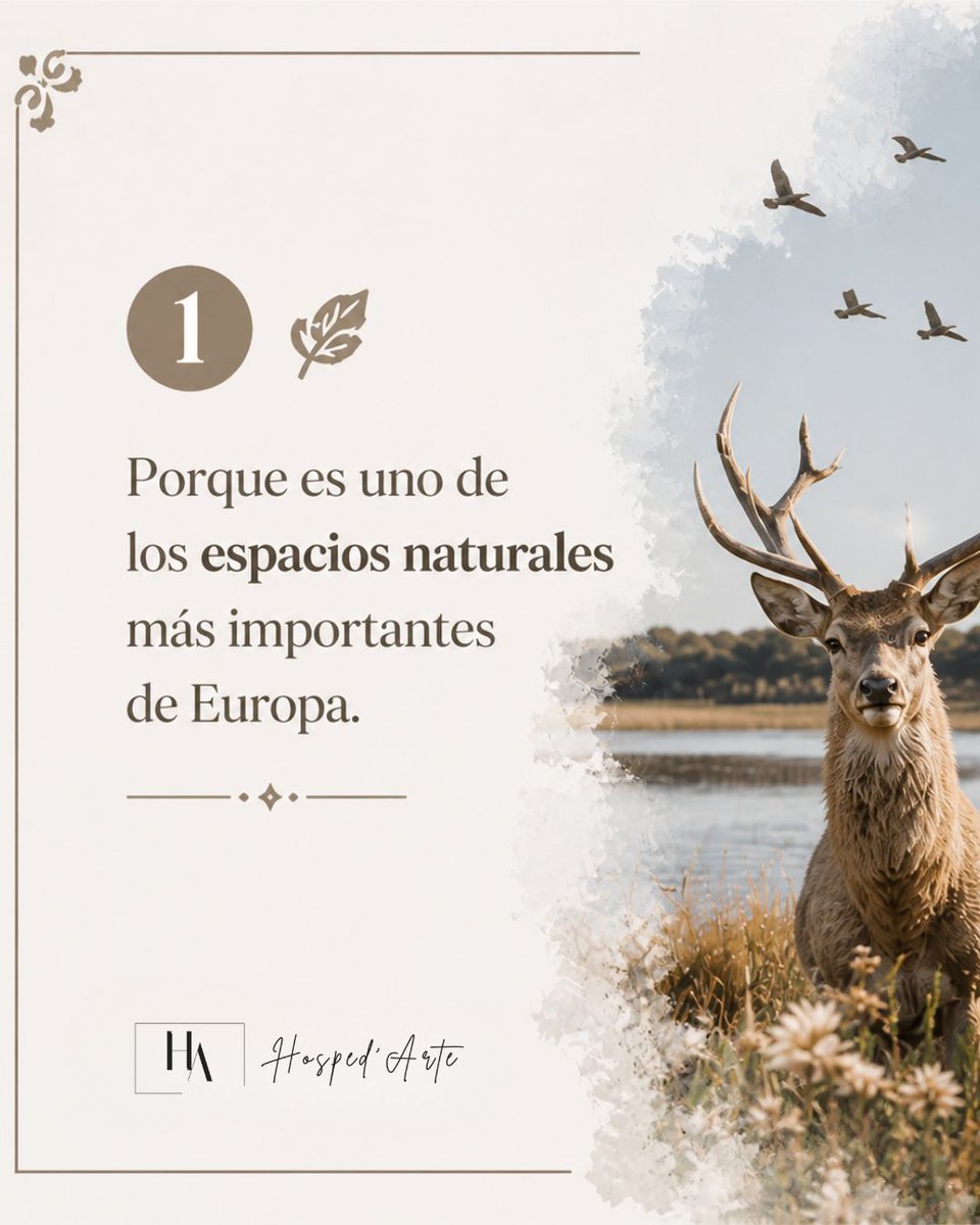 HospedarteRocio's tweet image. 🌿 𝐋𝐚𝐬 𝟕 𝐫𝐚𝐳𝐨𝐧𝐞𝐬 𝐩𝐚𝐫𝐚 𝐯𝐢𝐬𝐢𝐭𝐚𝐫 𝐃𝐨𝐧̃𝐚𝐧𝐚

Naturaleza, calma y experiencias únicas ✨
Descúbrelas todas 👇.

#Doñana #ElRocio #GrupoHospedarte