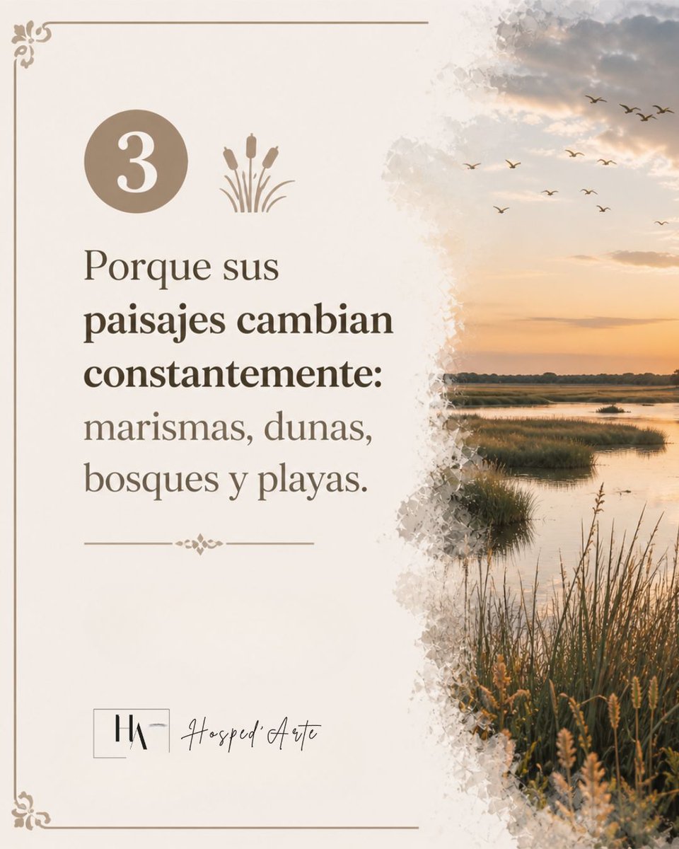 HospedarteRocio's tweet image. 🌿 𝐋𝐚𝐬 𝟕 𝐫𝐚𝐳𝐨𝐧𝐞𝐬 𝐩𝐚𝐫𝐚 𝐯𝐢𝐬𝐢𝐭𝐚𝐫 𝐃𝐨𝐧̃𝐚𝐧𝐚

Naturaleza, calma y experiencias únicas ✨
Descúbrelas todas 👇.

#Doñana #ElRocio #GrupoHospedarte
