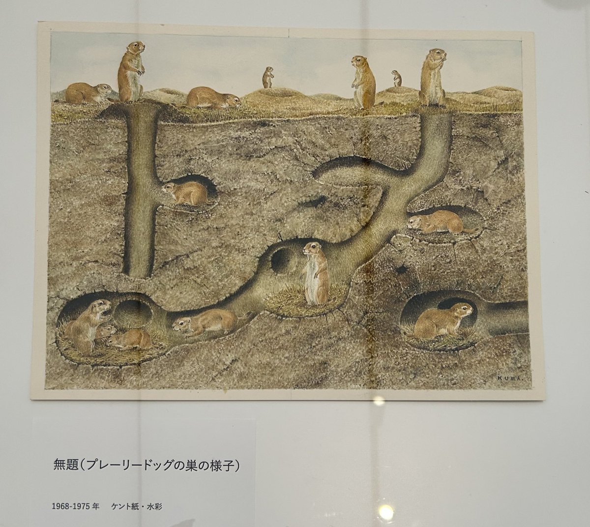 くまちかの変態っぷりが楽しかった美術館の展示(撮可コーナーにて)