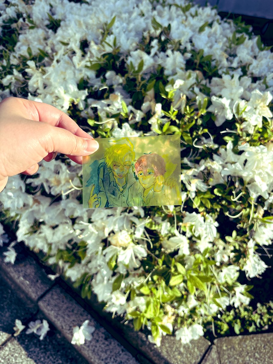 おささなと花🌸🌼