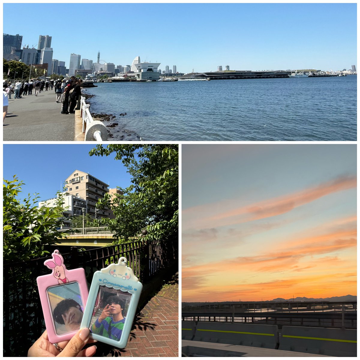NAMIKO🌻 tweet media