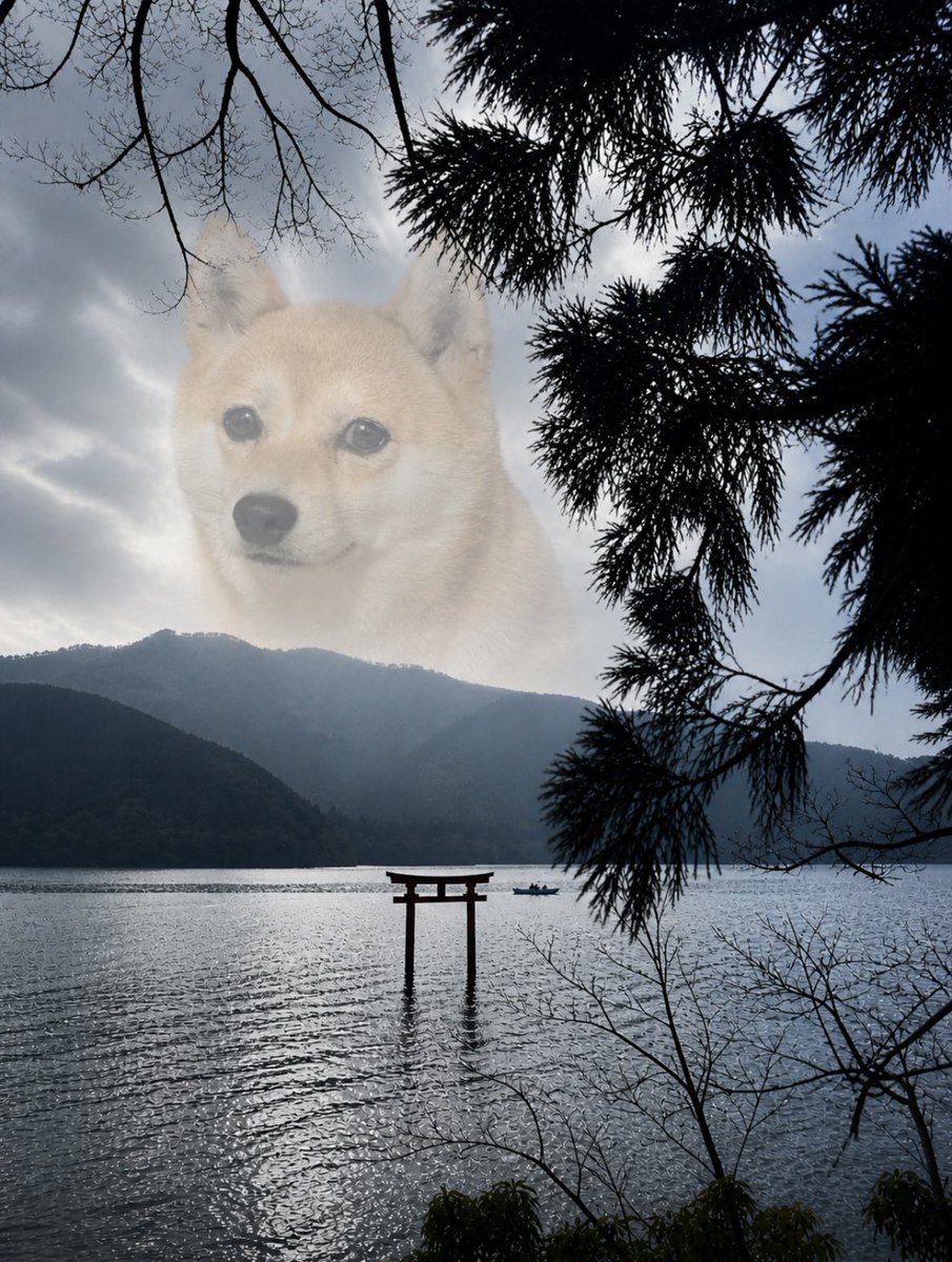 ボブさん (@bigbob66614) / Posts / X