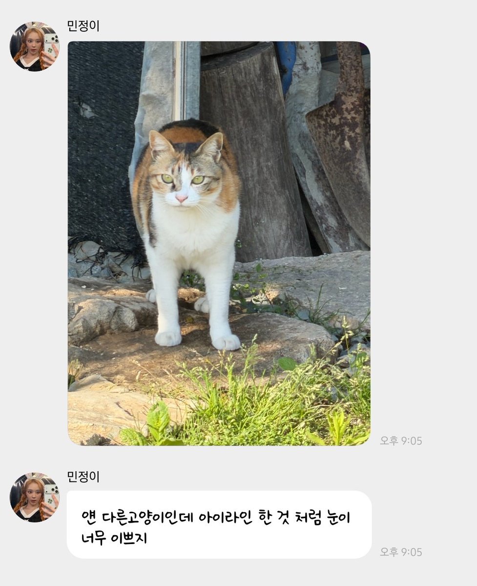 쪼🍋 tweet media