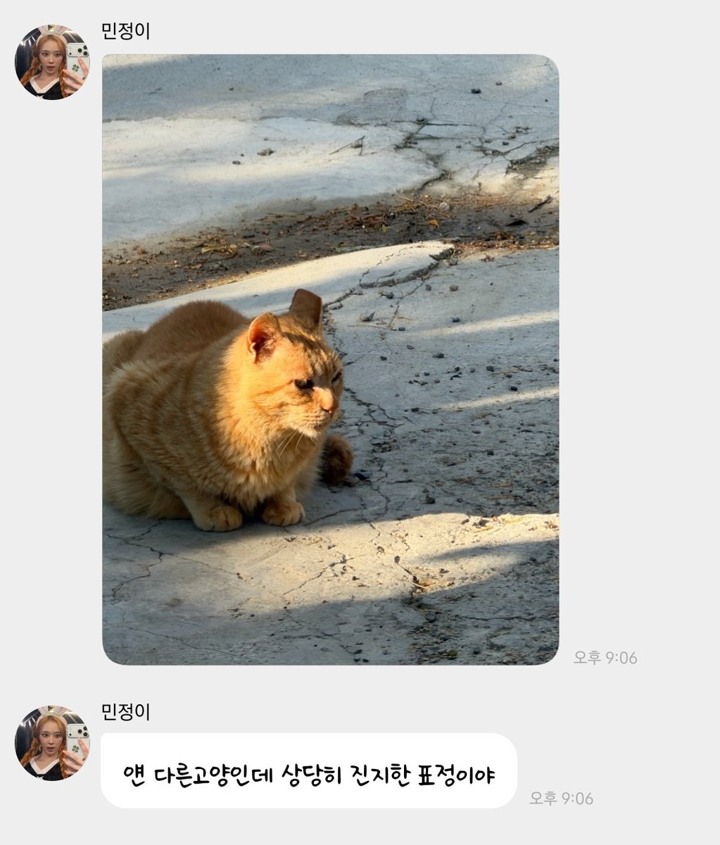 쪼🍋 tweet media