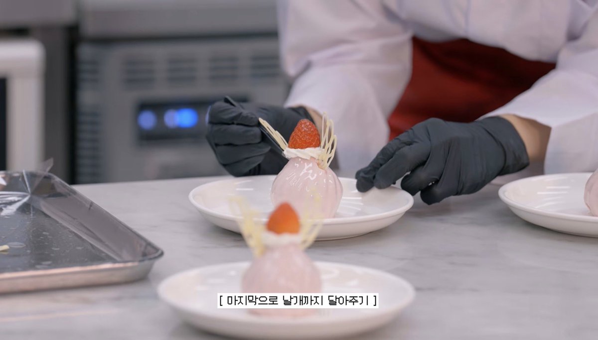 둘기 tweet media