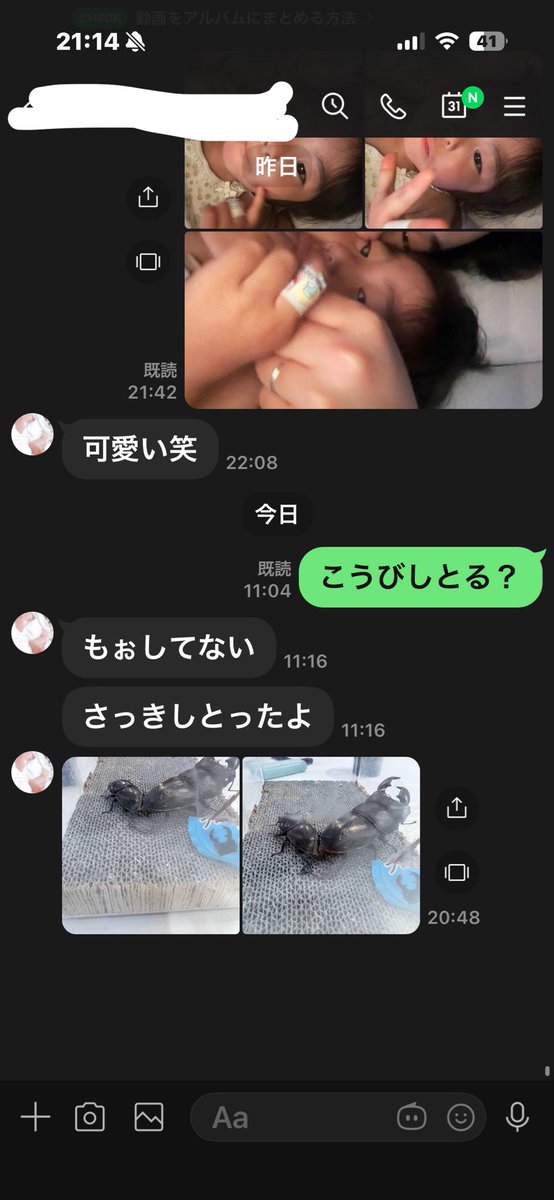 K.【ミヤモト】 tweet media