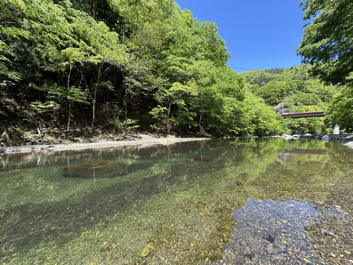 自然溢れる川釣り
ヤマメがとても綺麗でした