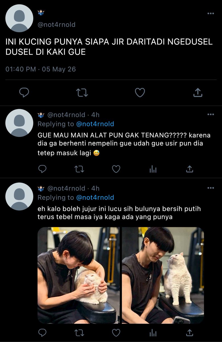 sha cookies 🍪 tweet media