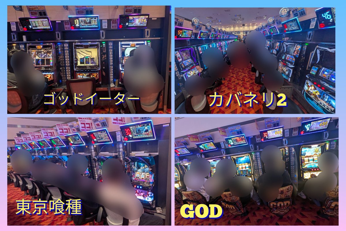 パンダ調査隊@P-GAL tweet media