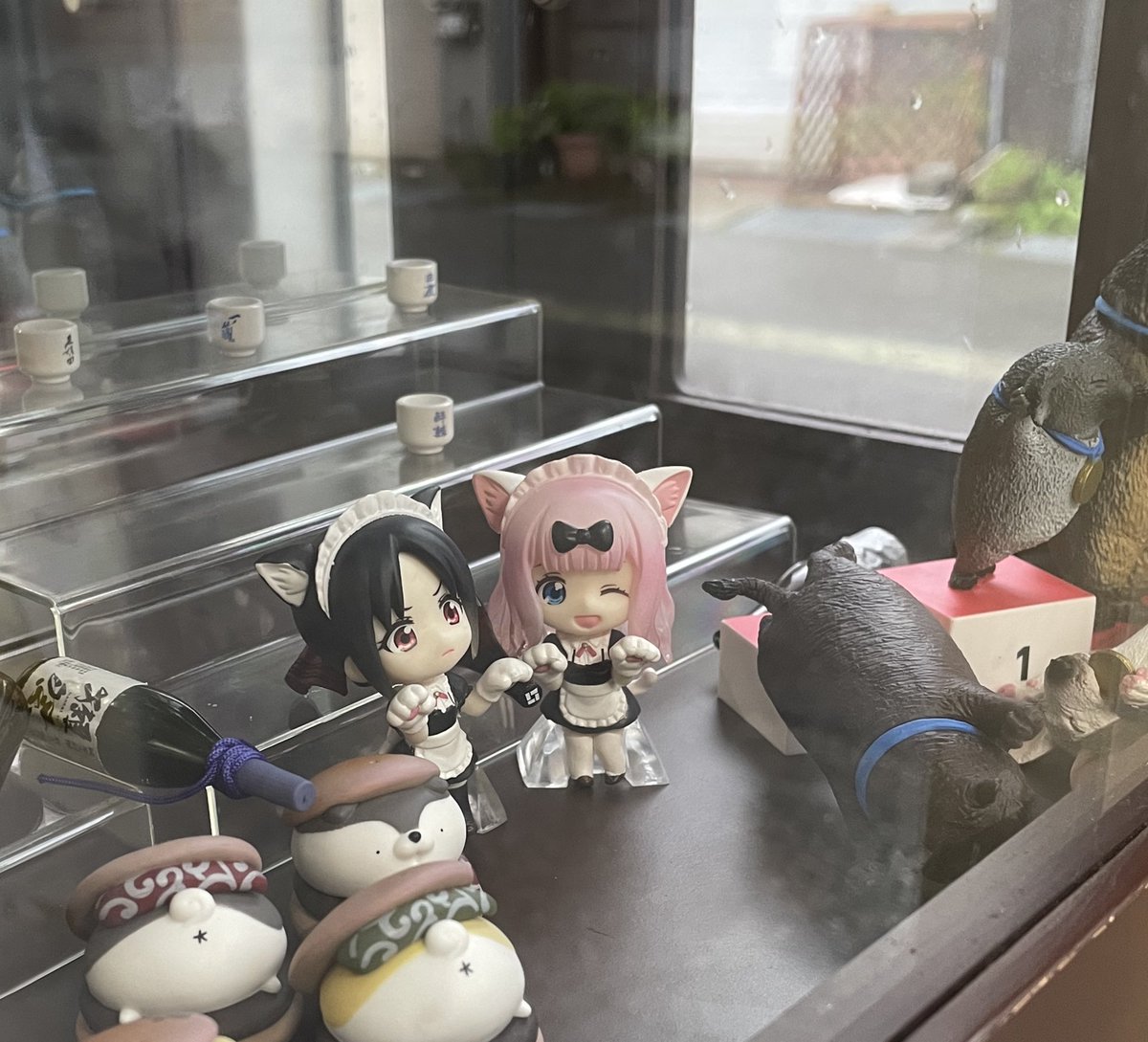 かぐや様と藤原、発見！