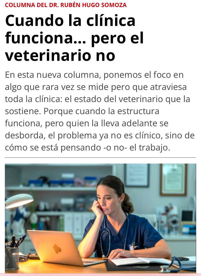 VET MARKET tweet media
