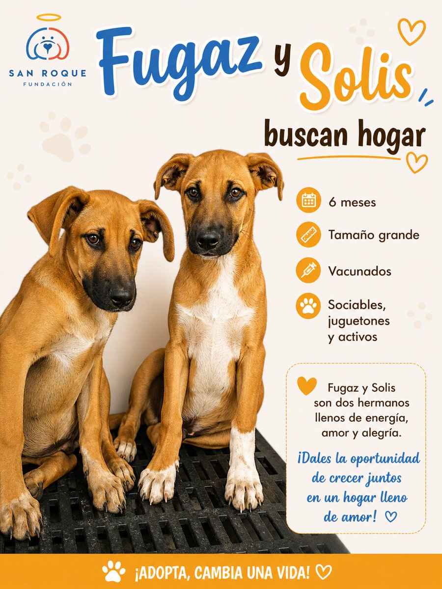 Fundación San Roque tweet media