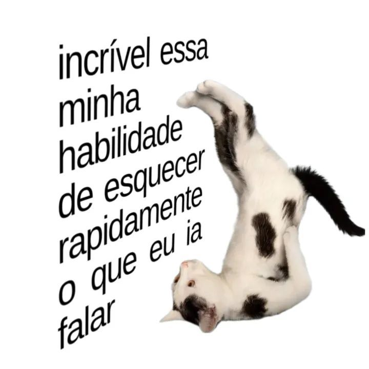 perfil dedicado a gatinhos e peitos tweet media