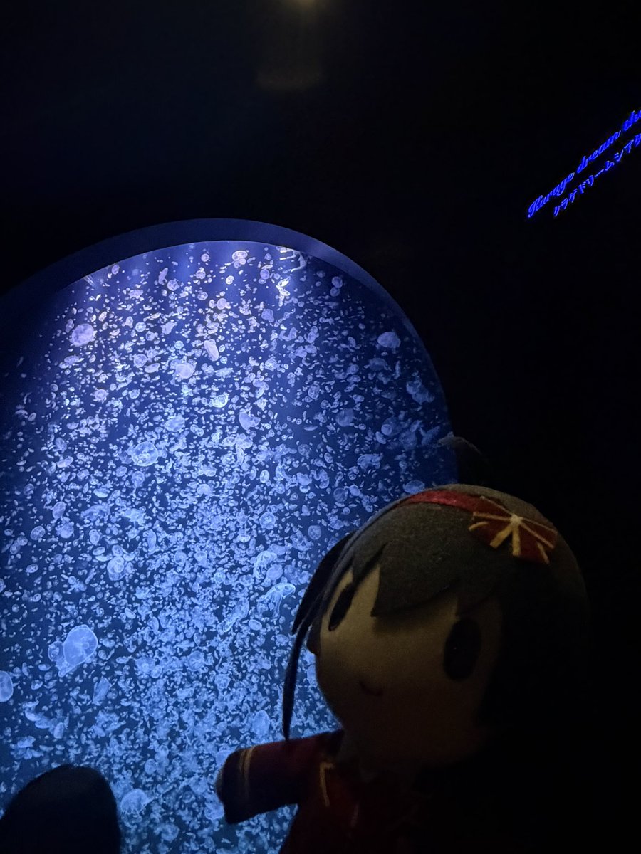 雪山 tweet media