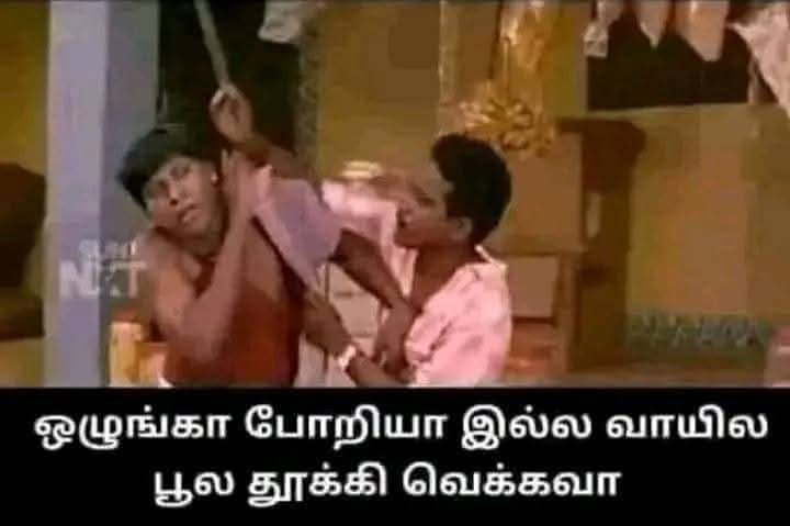 raja raja tweet media