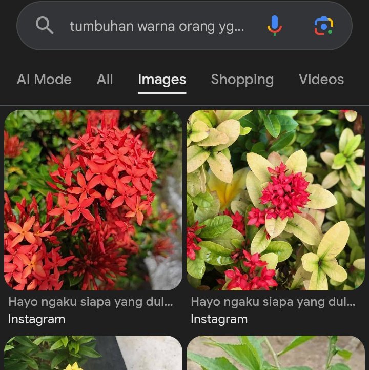 Maaf bgt lgsng kepikiran iniiii lucuuu bgt Oren"😭😭😭