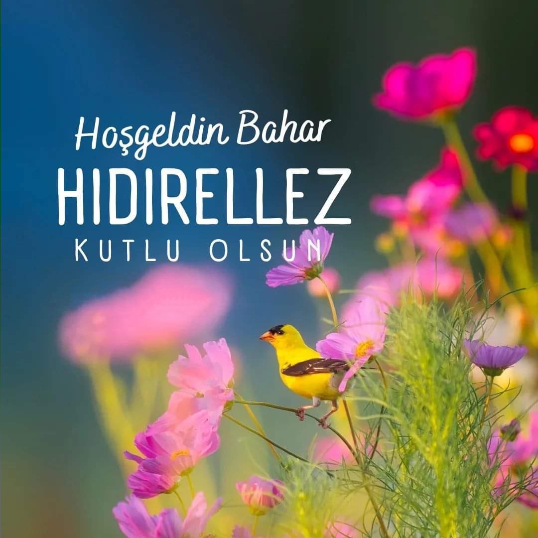 kaynar_b's tweet photo. Baharın, umudun ve bereketin müjdecisi Hıdırellez’in..;
Sağlık, huzur ve bolluk getirmesini diliyorum…….🇹🇷
#Hıdırellez #Bahar https://t.co/EUEkc6wHIc