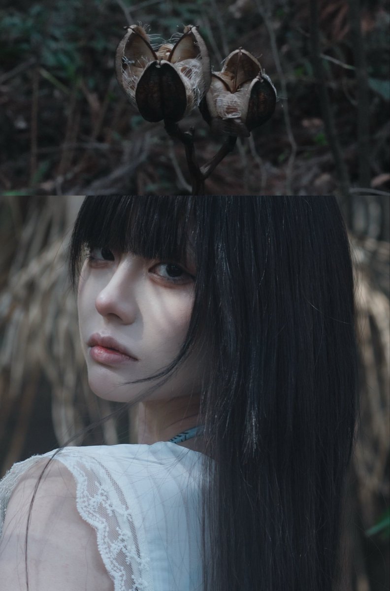 嚩ᴴᴬᴷᵁ (@lunati9__) / Posts / X
