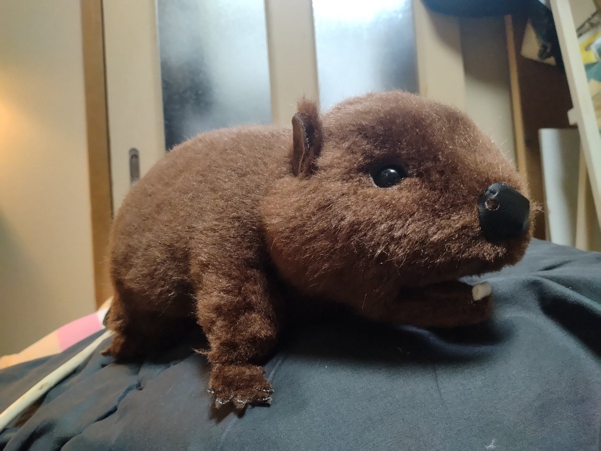 クリエイターズマーケット 手作りぬいぐるみの佐伯公房さん 赤ちゃん1