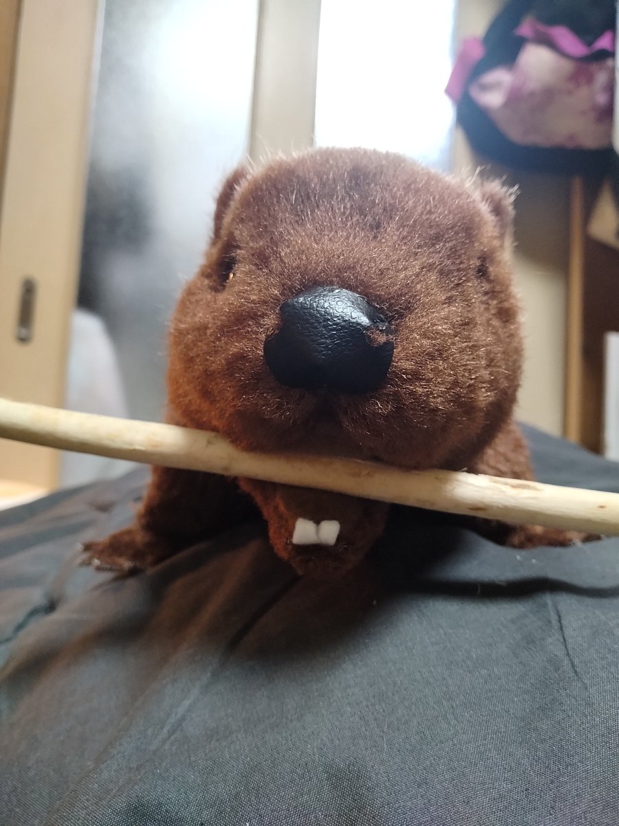 秋栗クリームケーキ 部屋飾り 海外作家様 ハンドメイド 撮影道具 ぬいぐるみ クリエイターズマーケット 手作りぬいぐるみの佐伯公房さん 赤ちゃん1