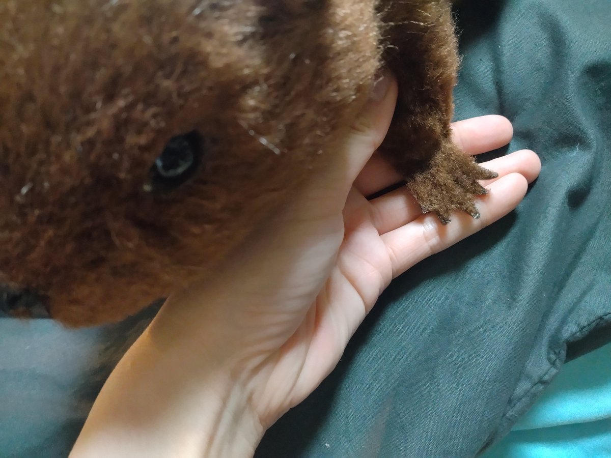 クリエイターズマーケット 手作りぬいぐるみの佐伯公房さん 赤ちゃん1