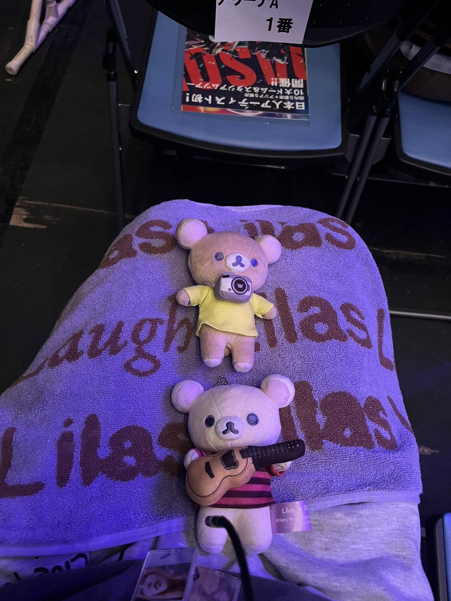 YUUKI @YOA’S Next Lilas Laugh国内•海外全通🎸 tweet media