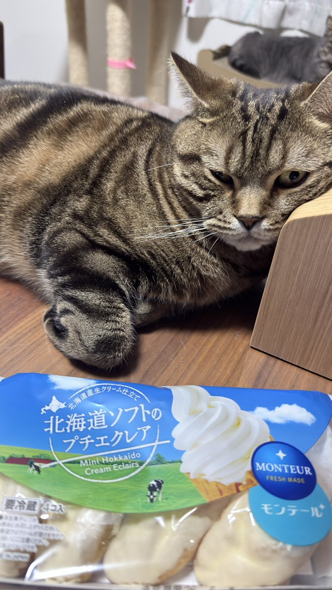 けんちゃんのChillwave Café 【Lo-Fi music】 tweet media