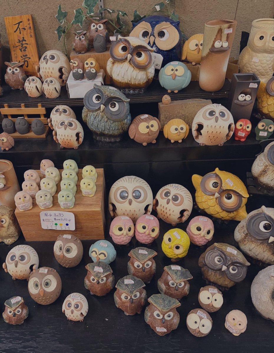 nitijou_mac's tweet photo. 🦉🍜💤
 #日常垢  #日常垢さんとつながりたい https://t.co/qLFiiI3l7Q