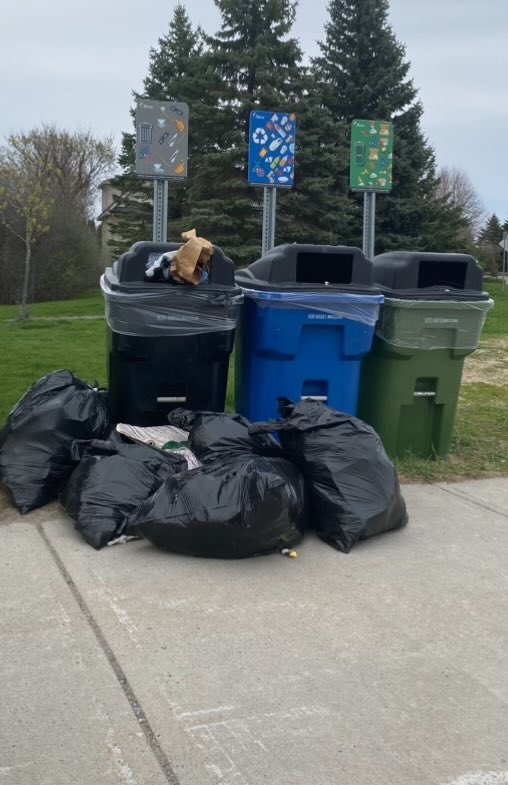 Stewart Green 🇨🇦 tweet media