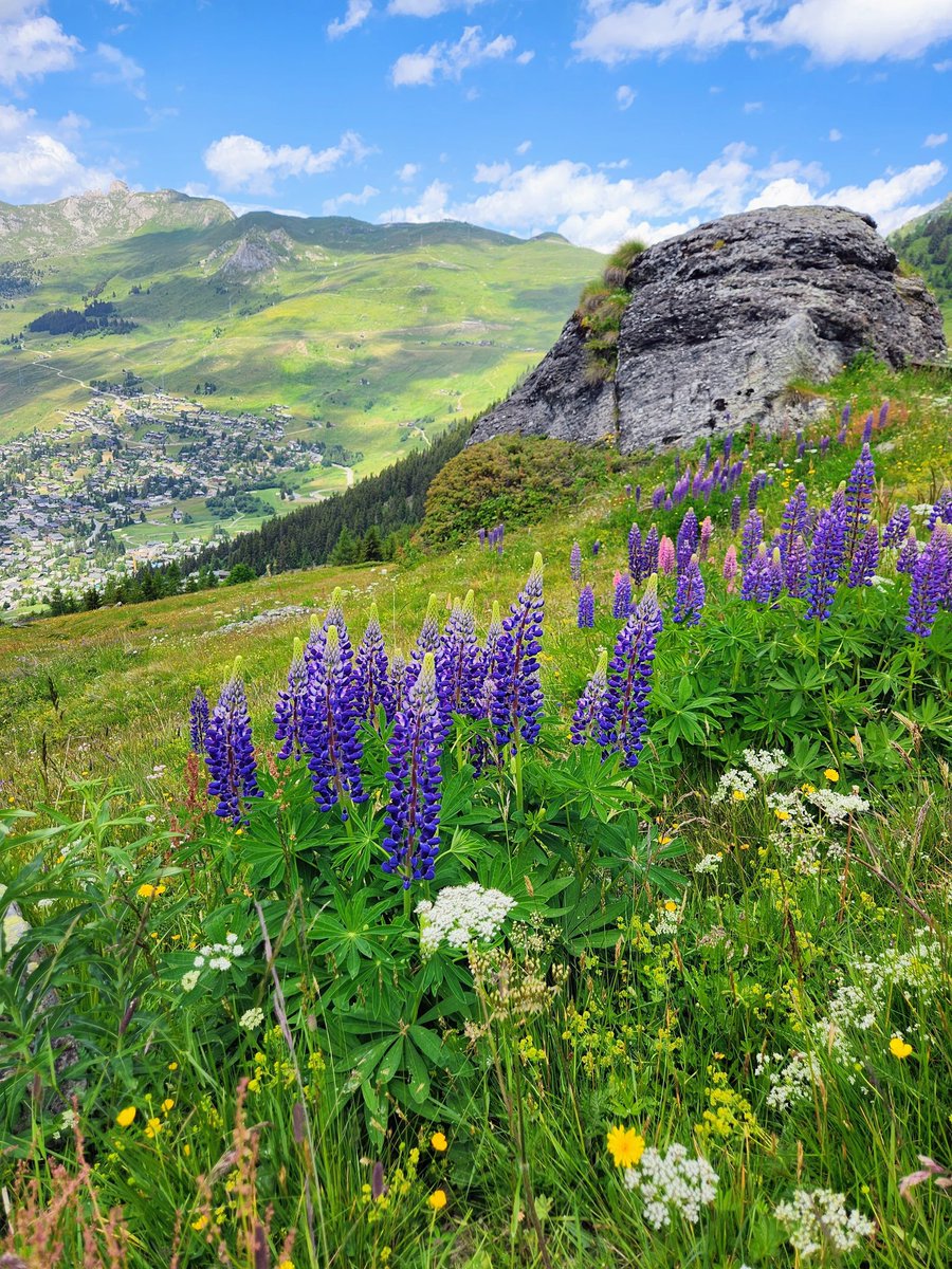 HikingSwitzerland tweet media