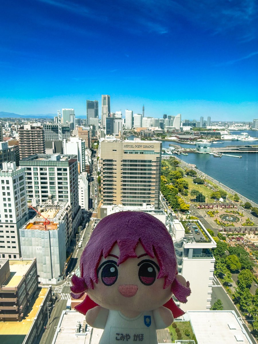 ミナチ tweet media