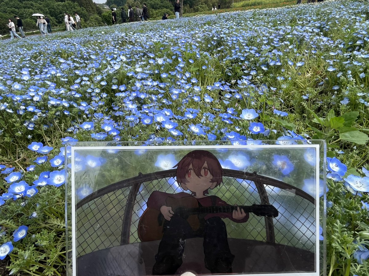 あんず tweet media