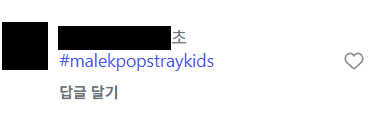 스트레이키즈 투표팀 tweet media
