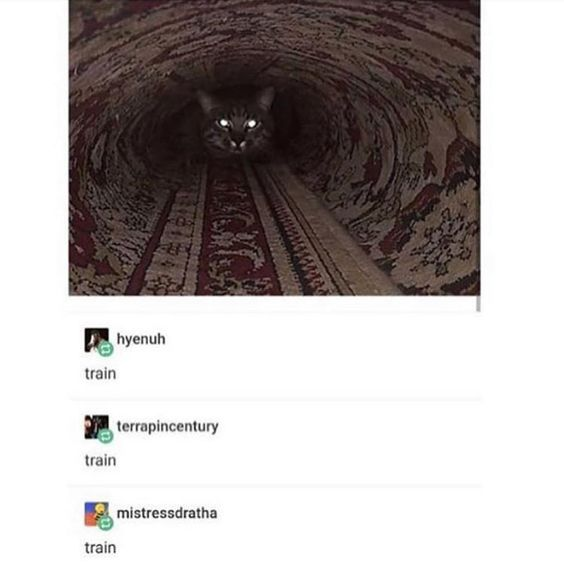 WholesomeMemes (@wholesomememe) on Twitter photo 