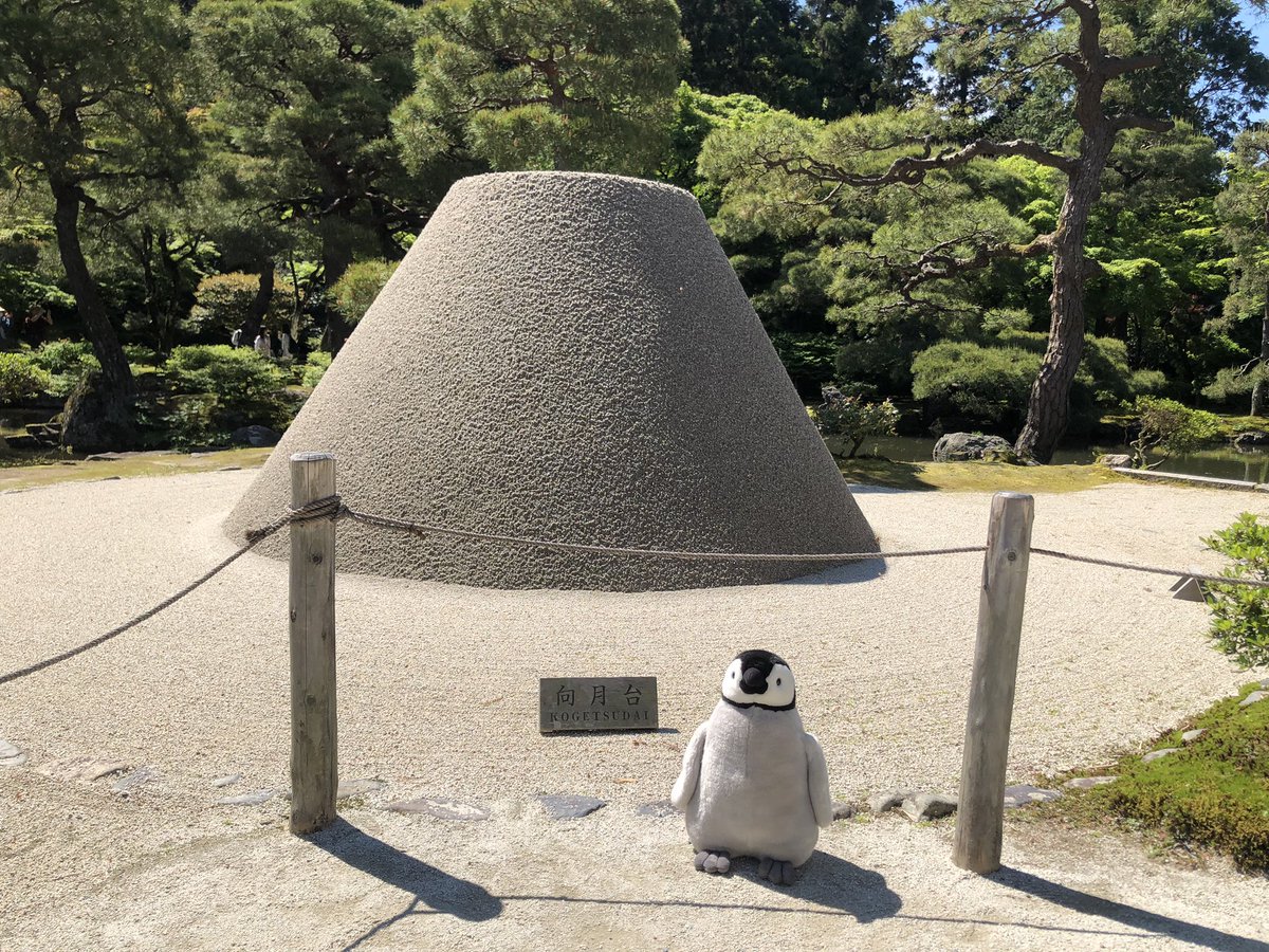内岛氏理🐧 tweet media