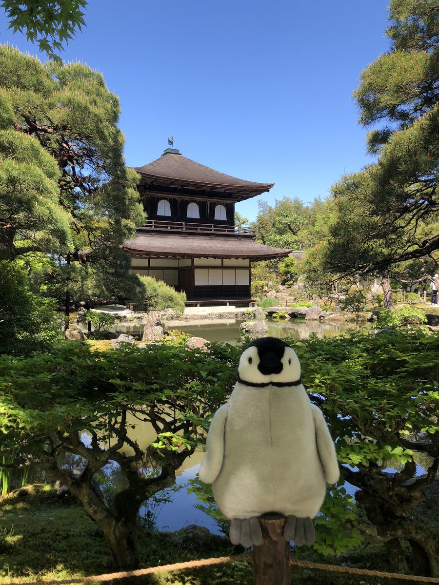 内岛氏理🐧 tweet media