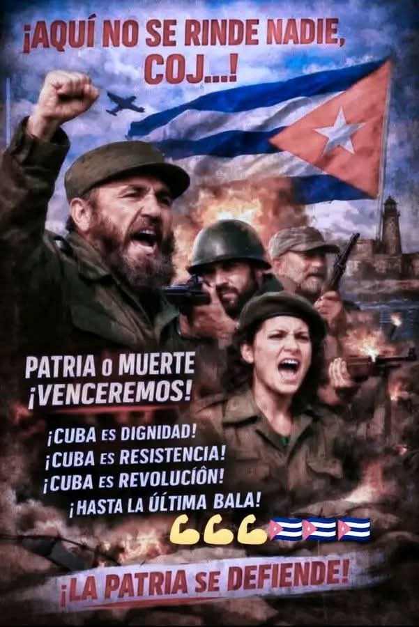 LindaAlek tweet media