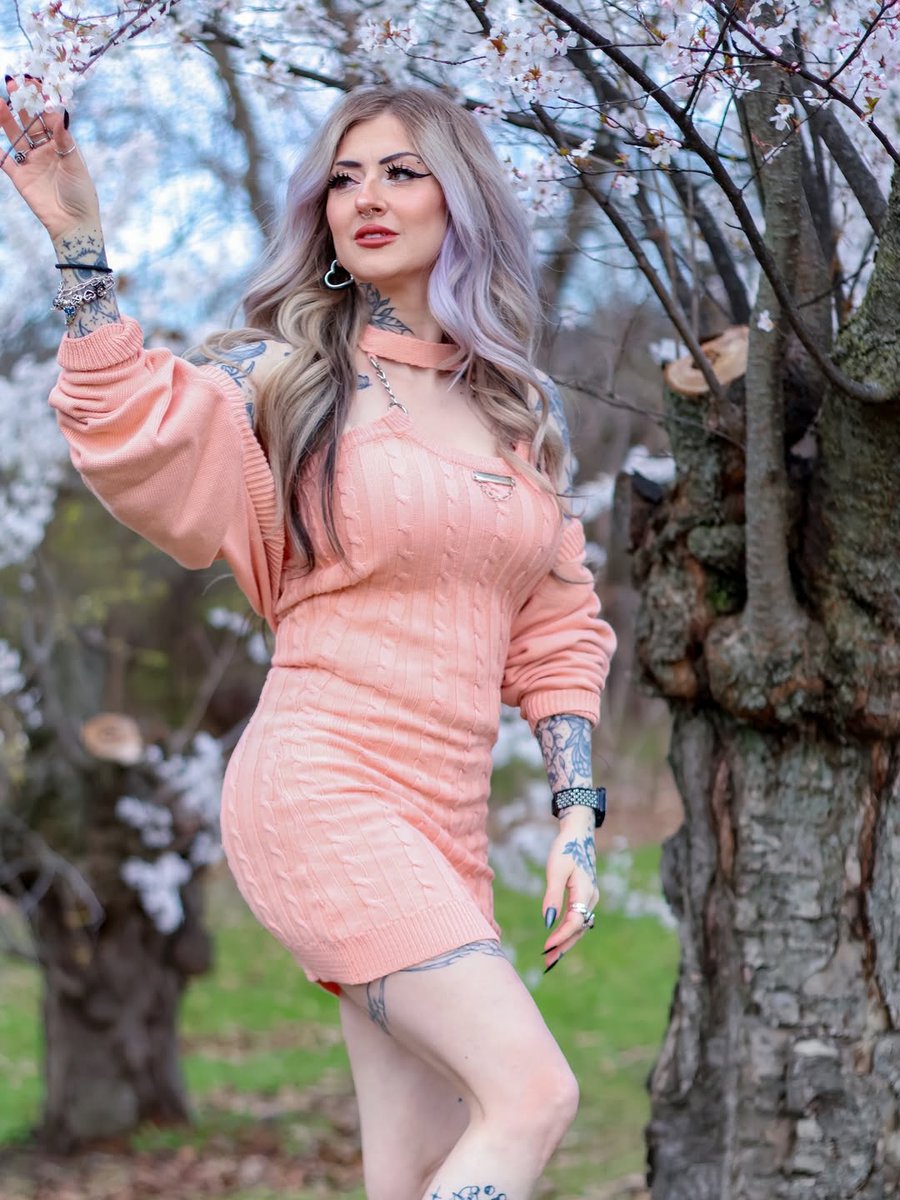 The Femme Daily ✧ tweet media